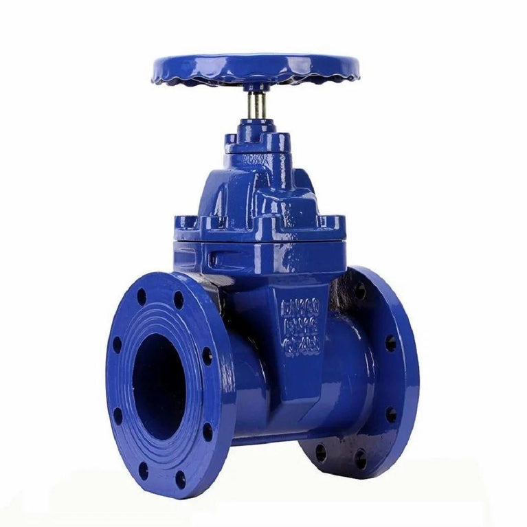 1065 Flanged Cast Iron Globe Steam Stop Valve