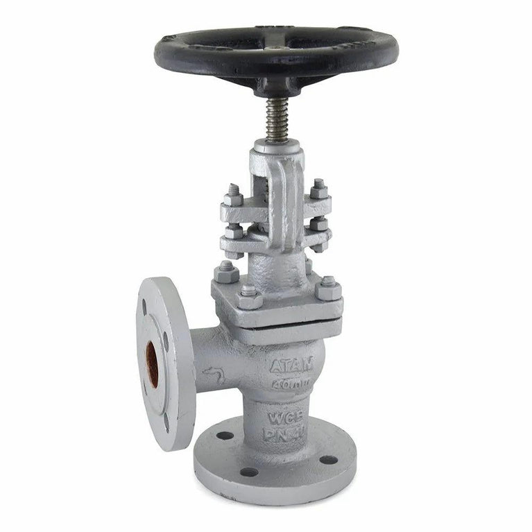 1066 Cast Iron Globe Steam Stop Valve