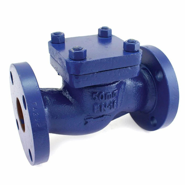 1067 Flanged Cast Iron Horizontal Lift Check Valve