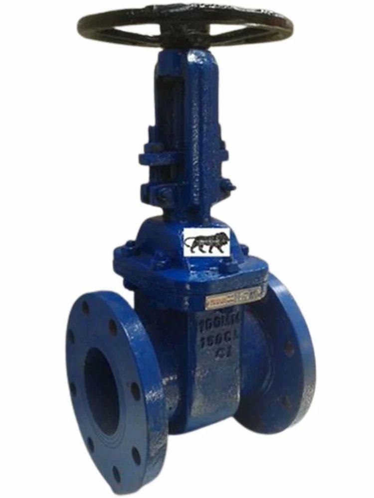 1077 Flanged Cast Iron Gate Valve