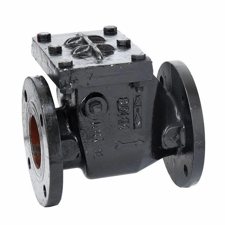 1083 Flanged Cast Iron Non Return Valve