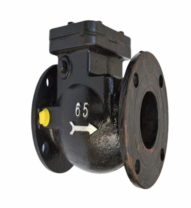 1083 Flanged Cast Iron Non Return Valve