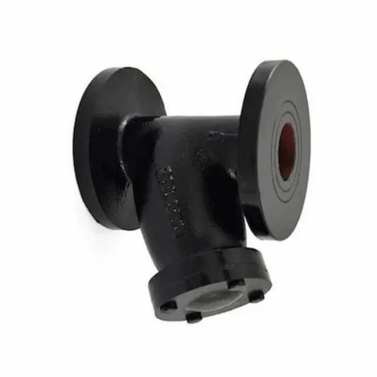 1084 Flanged Cast Iron Y Type Strainer