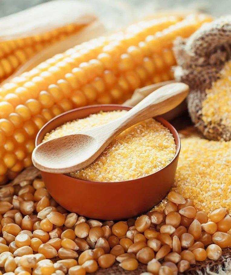 10 HP ઓટોમેટિક અટા ચક્કી AZC1001A