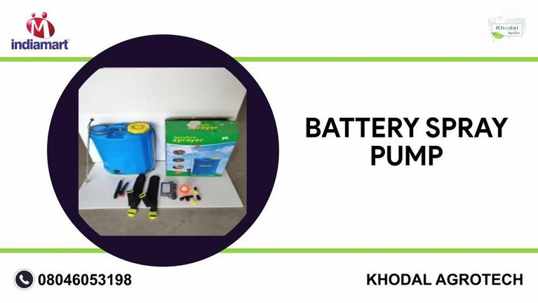 12 V 12 Ah Double Motor Sprayer