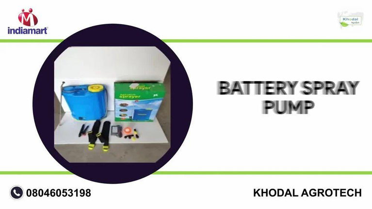 12 V 12 Ah ડબલ મોટર સ્પ્રેયર