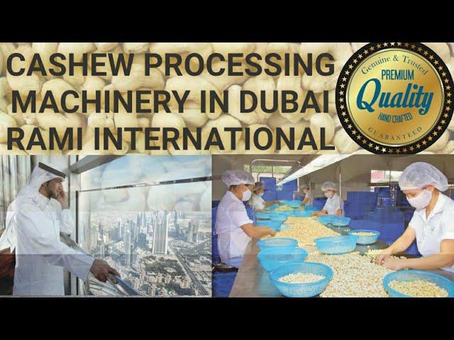 1 Ton Cashew Nut Processing Machine