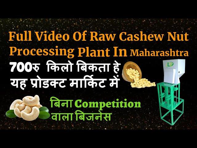 2000kg Automatic Cashew Processing Machine