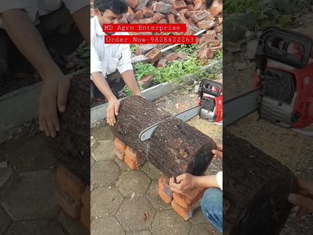 20'' Petrol Chain Saw