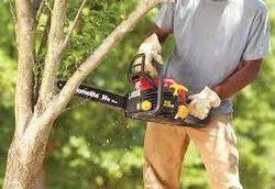 22" Petrol Chainsaw 58 CC