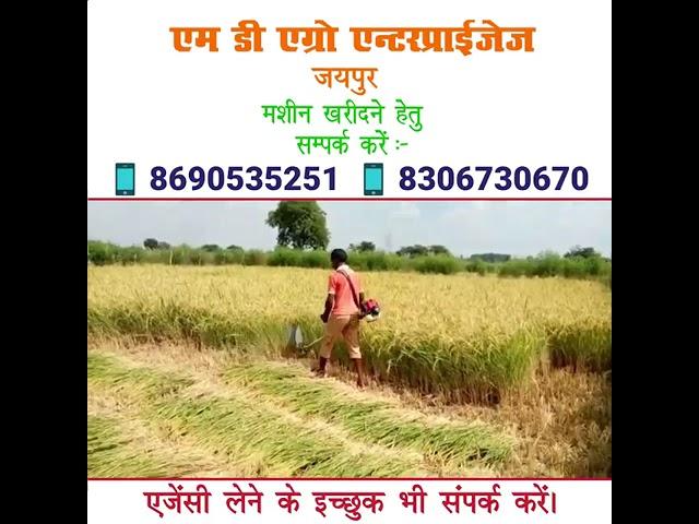 2 Stroke Backpack Brush Cutter