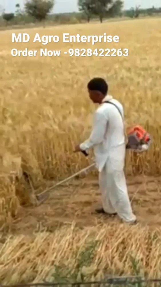 2 સ્ટ્રોક બ્રશ કટર