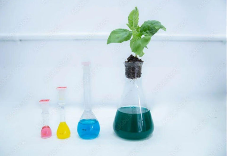 2-methyl-1-propanethiol