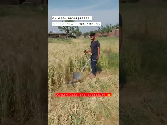 4 Stroke Brush Cutter