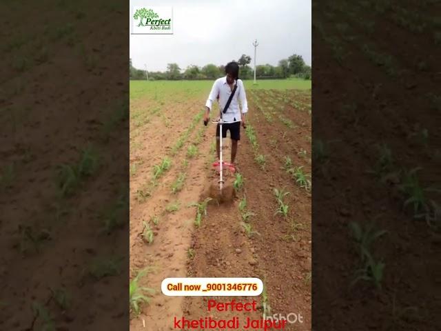 50CC पेट्रोल गेहूं काटने की मशीन ब्रश कटर