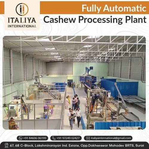 50 HP Cashew Nut Processing Plant