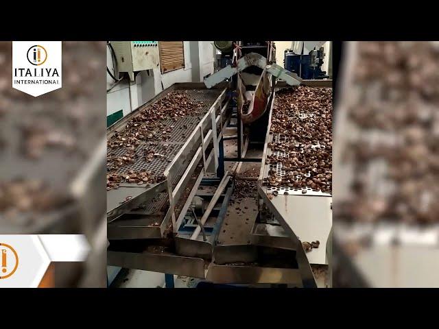50 HP Cashew Nut Processing Plant