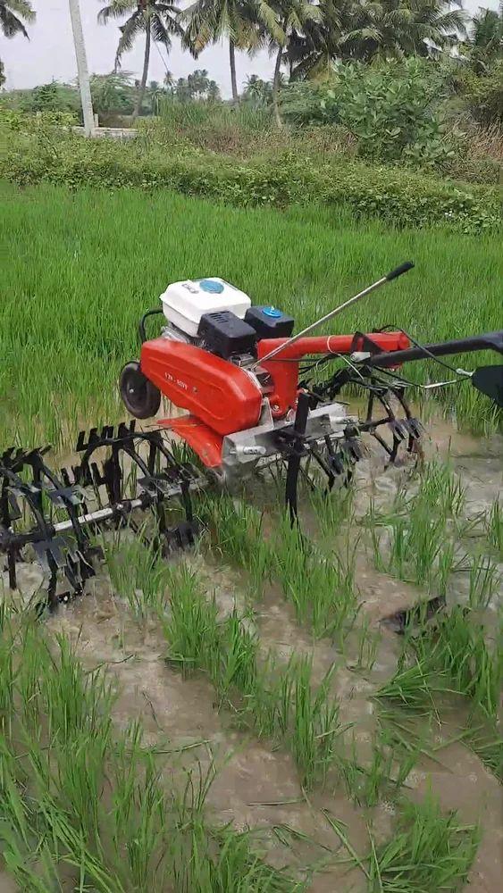 5 Row Paddy Weeder