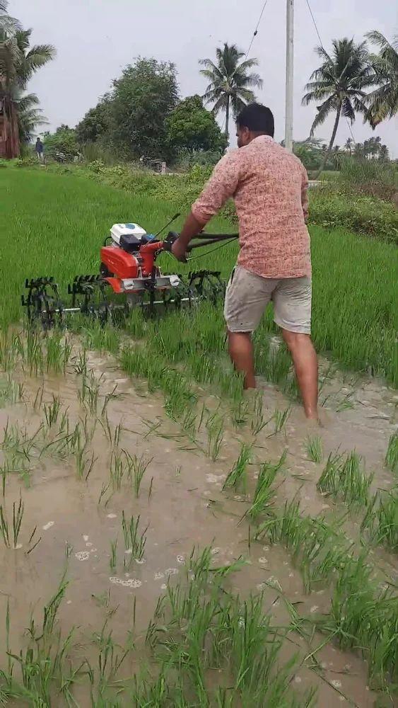 5 Row Paddy Weeder