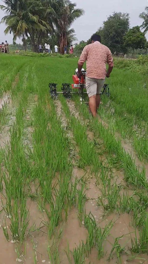 5 Row Paddy Weeder
