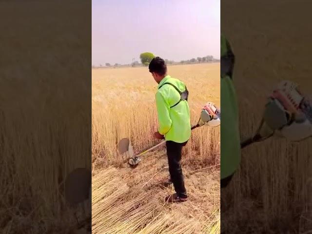 7 Hp Petrol Power Tiller