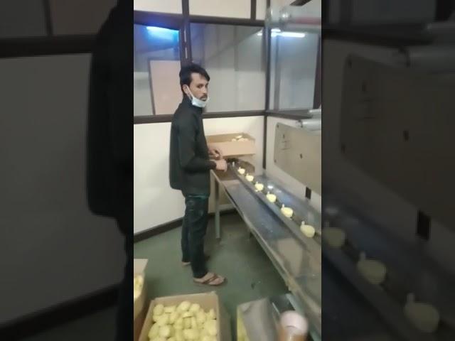 Automatic Flow Wrapping Machines