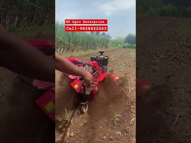 બેક રોટરી પાવર વીડર