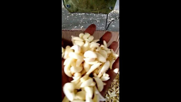 ખાદ્ય ઉદ્યોગ માટે લસણ ડ્રાયર મશીન