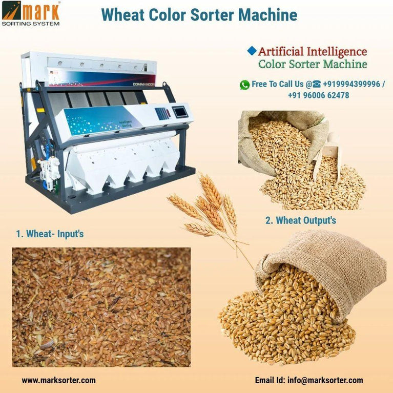 Wheat Color Sorter Machine / Wheat Sorting Machine / Grains Sorting / Grain Color Sorter