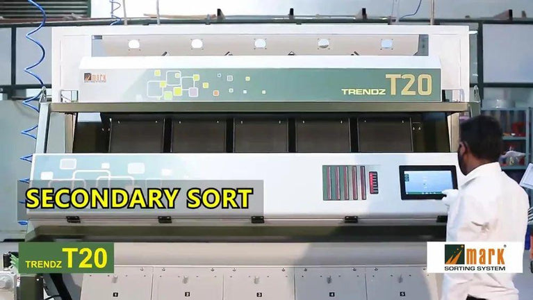 Wheat Color Sorting Machine T20 - 10 Chute