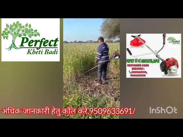 brush cutter india
