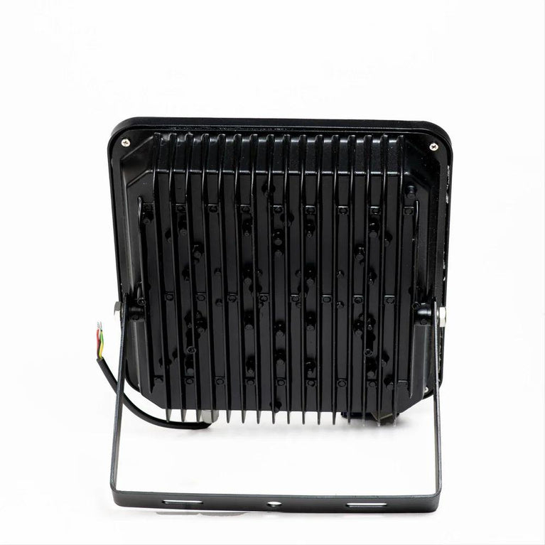 100 W Milan Flood Light