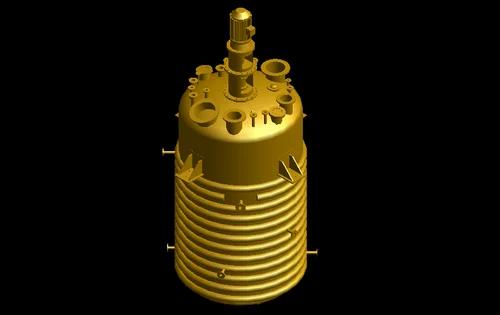 Stainless Steel Reactor Vessels