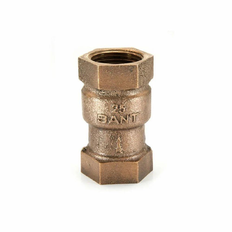 1009 Screwed Bronze Vertical Check Valve