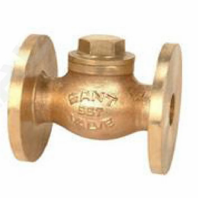 1012 Flanged Bronze Horizontal Check Valve