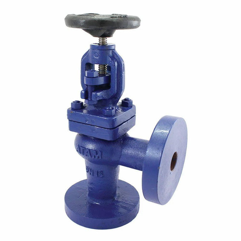 1066 Cast Iron Globe Steam Stop Valve