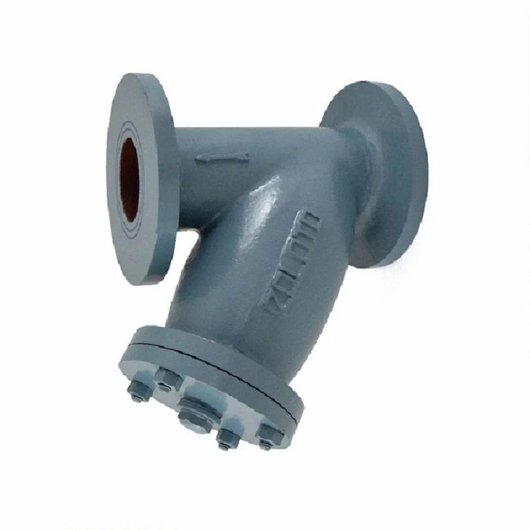 1070 Flanged Cast Iron Y Type Strainer