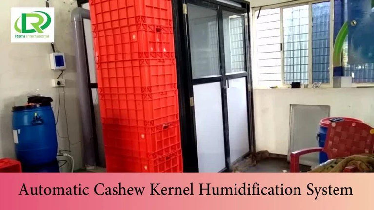 2000kg Automatic Cashew Processing Machine