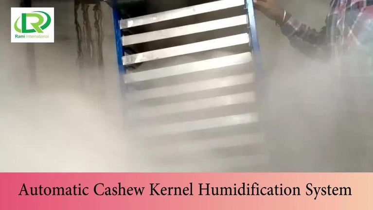 2000kg Automatic Cashew Processing Machine