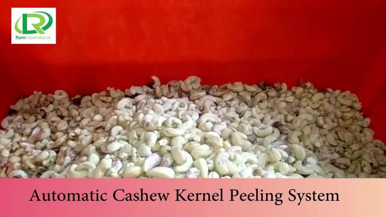 2000kg Automatic Cashew Processing Machine
