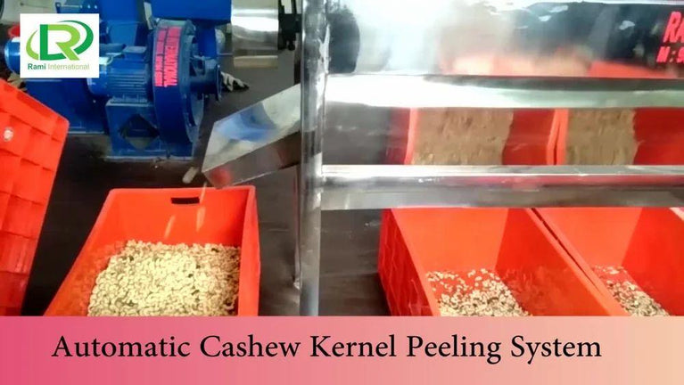 2000kg Automatic Cashew Processing Machine