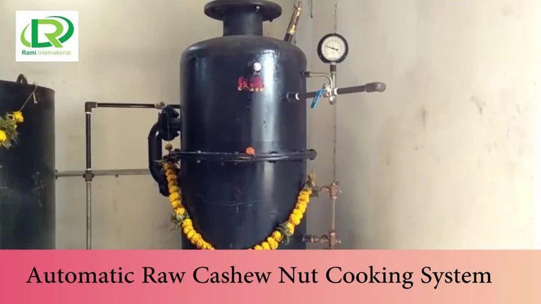2000kg Automatic Cashew Processing Machine