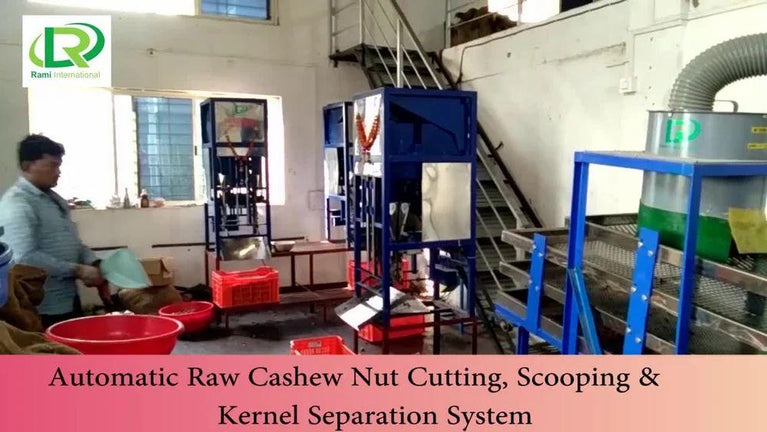 2000kg Automatic Cashew Processing Machine