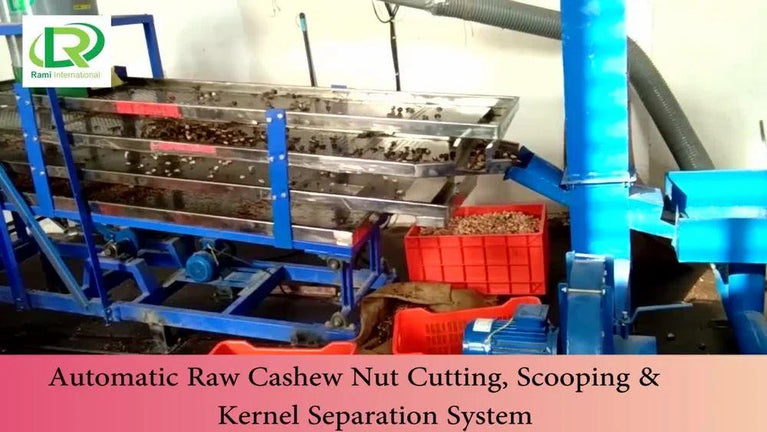 2000kg Automatic Cashew Processing Machine