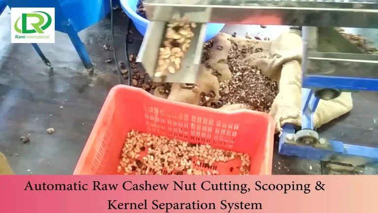 2000kg Automatic Cashew Processing Machine