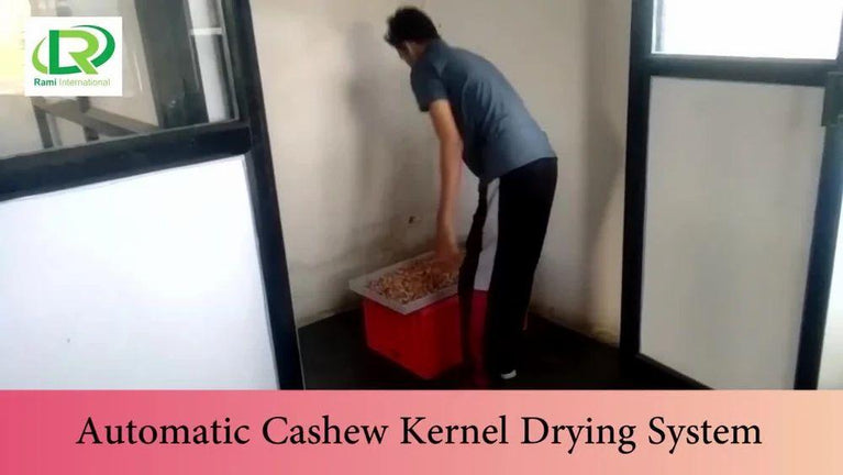 2000kg Automatic Cashew Processing Machine