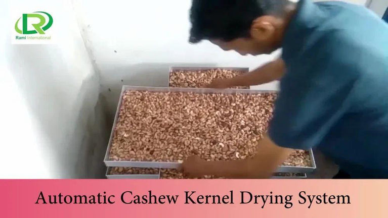 2000kg Automatic Cashew Processing Machine