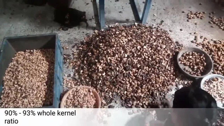 2 Blade Cashew Cutting Machine