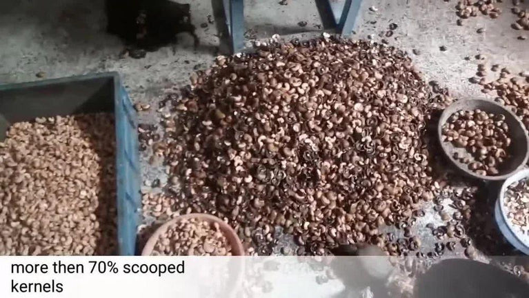 2 Blade Cashew Cutting Machine