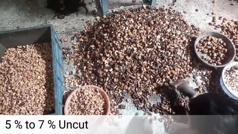 2 Blade Cashew Cutting Machine